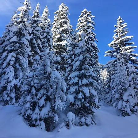 Haus Am Reiteckweg *